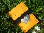 Dunkelgelbe_Dirn_4fb4b9cd09331